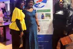wopi-Fundraising-dinner2023-_2